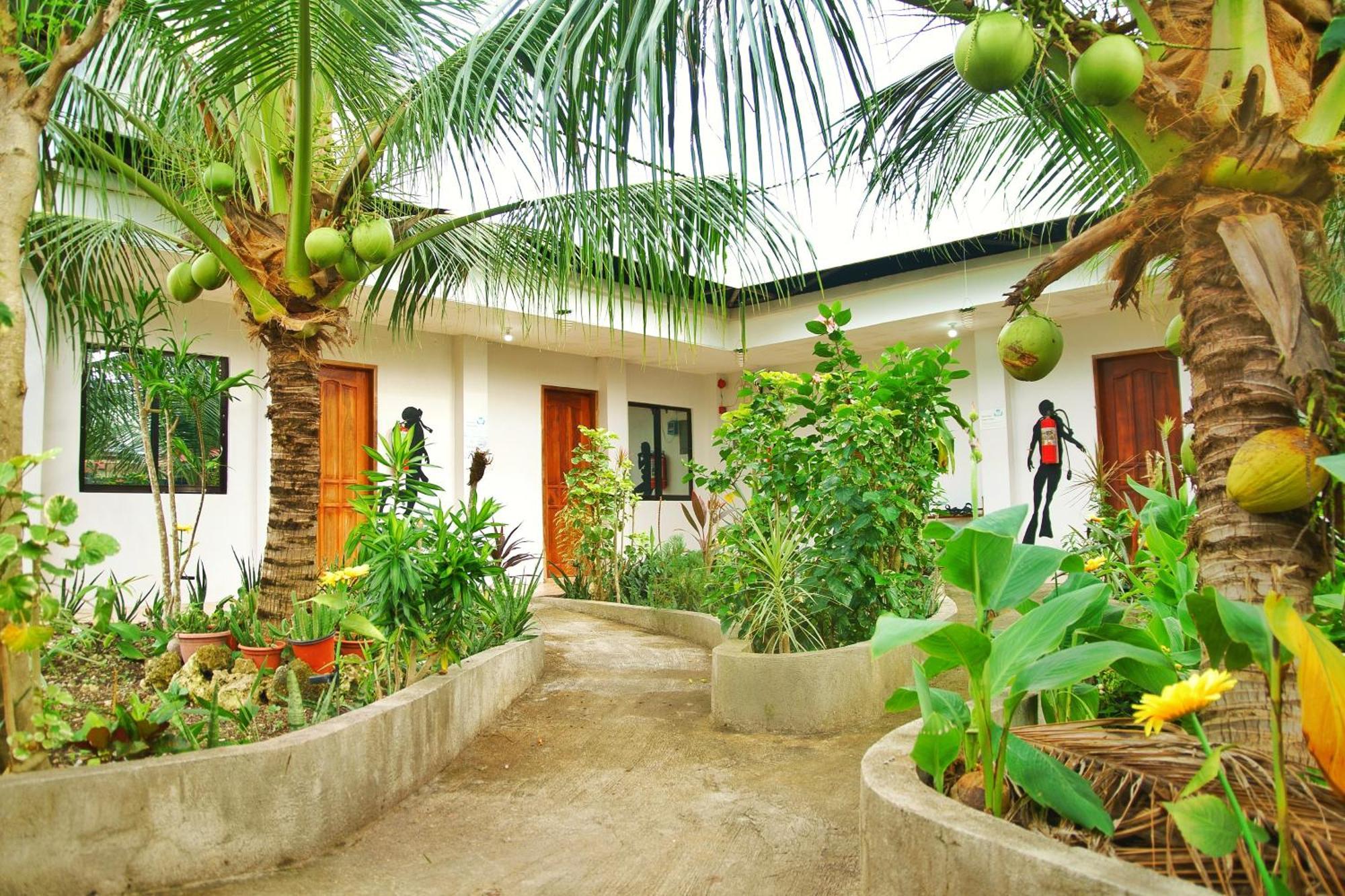 Ananas Guesthouse Moalboal Εξωτερικό φωτογραφία