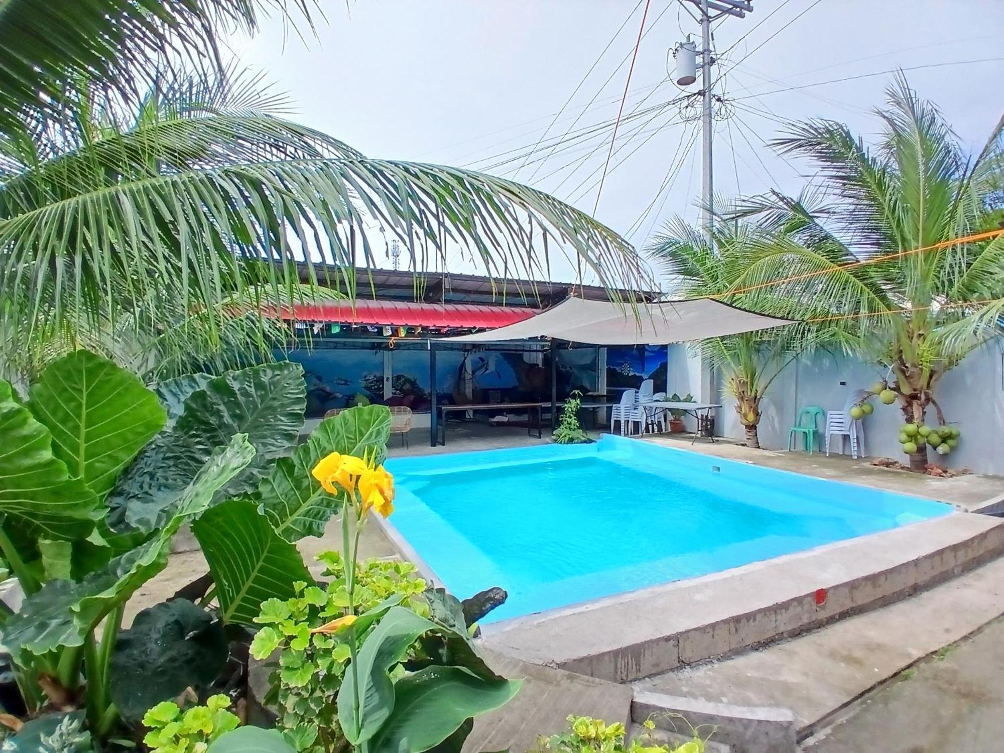 Ananas Guesthouse Moalboal Εξωτερικό φωτογραφία