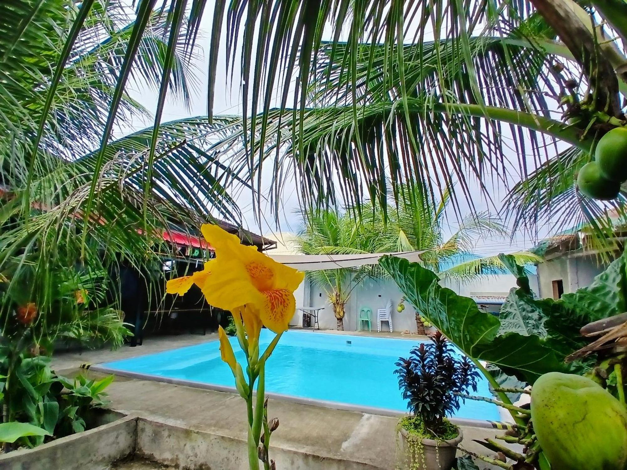 Ananas Guesthouse Moalboal Εξωτερικό φωτογραφία