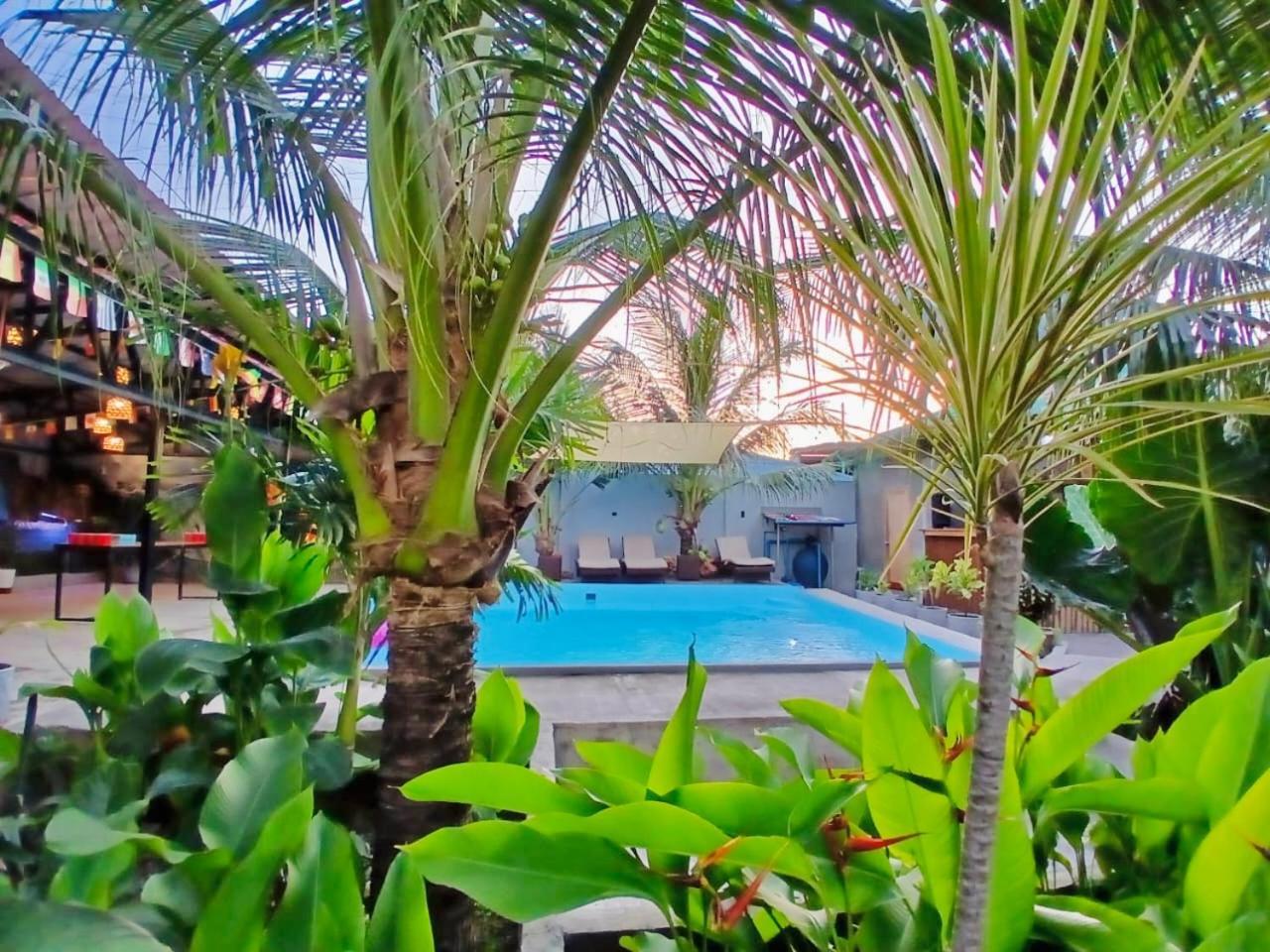 Ananas Guesthouse Moalboal Εξωτερικό φωτογραφία
