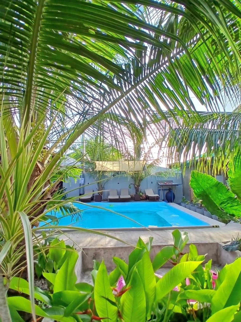 Ananas Guesthouse Moalboal Εξωτερικό φωτογραφία