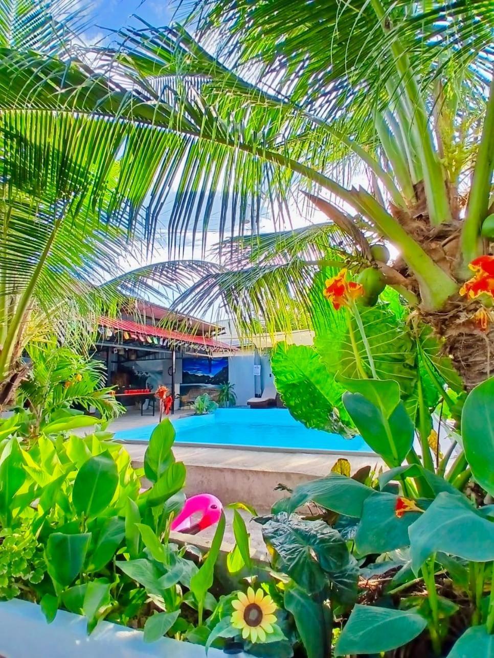 Ananas Guesthouse Moalboal Εξωτερικό φωτογραφία