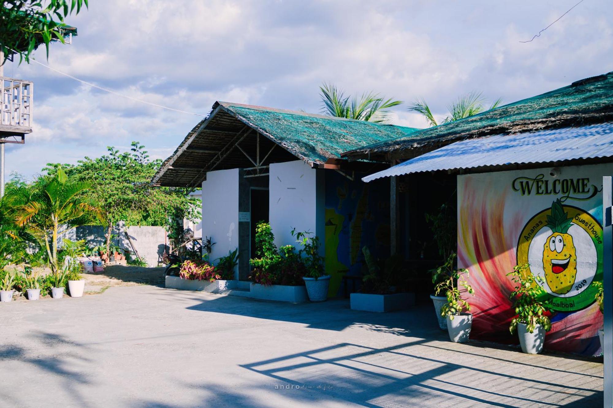 Ananas Guesthouse Moalboal Εξωτερικό φωτογραφία